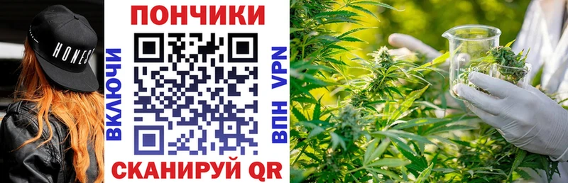 Бошки марихуана гибрид Балашов